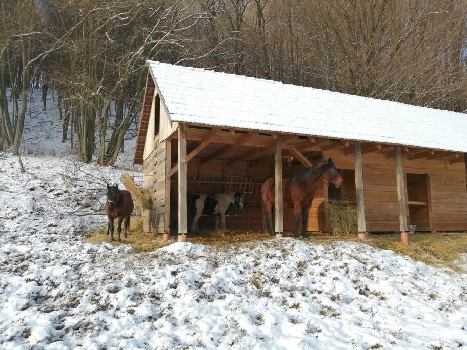 Oddychovy Pobyt Na Rodinnej Farme Matiaska 외부 사진