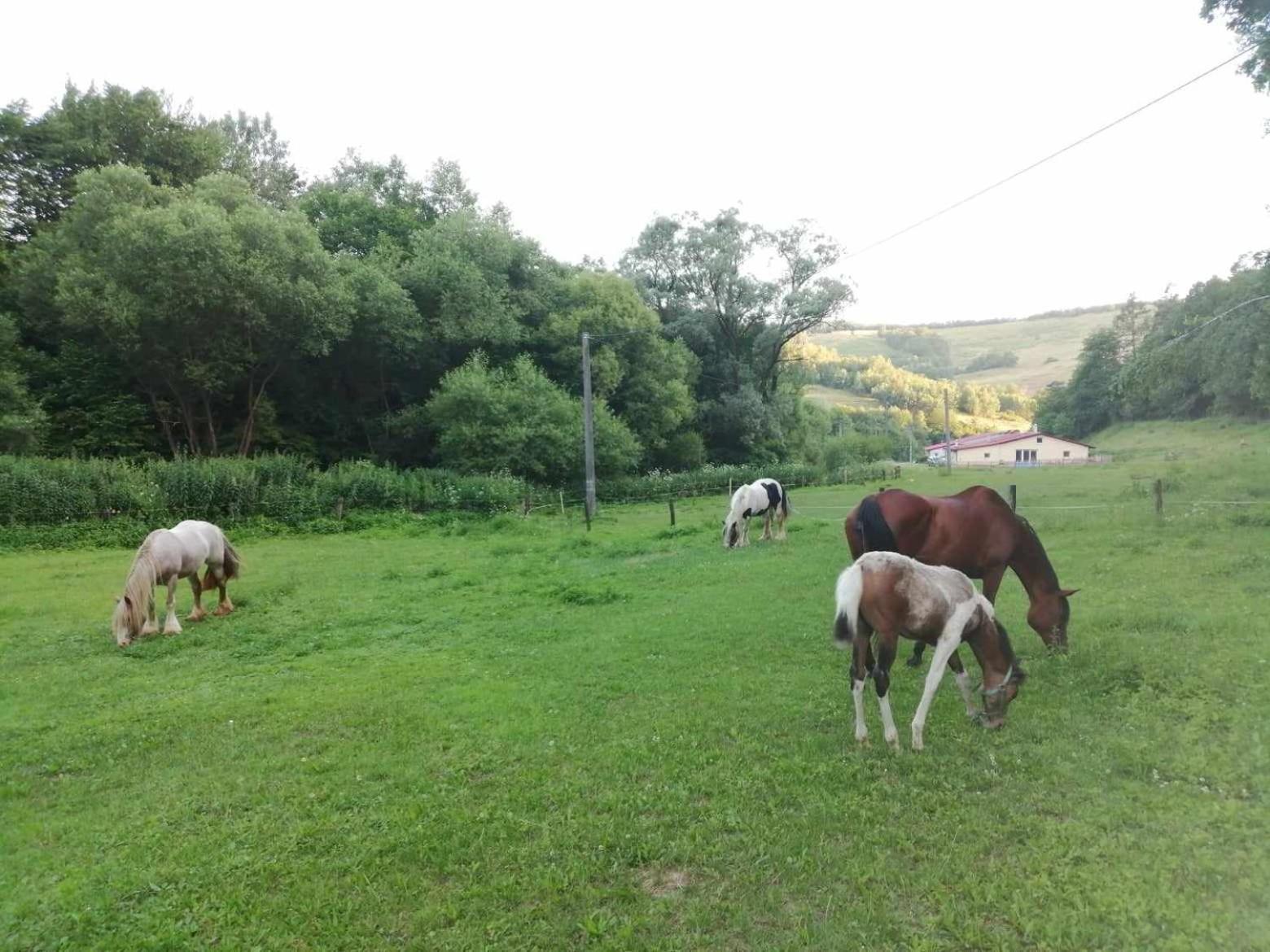 Oddychovy Pobyt Na Rodinnej Farme Matiaska 외부 사진