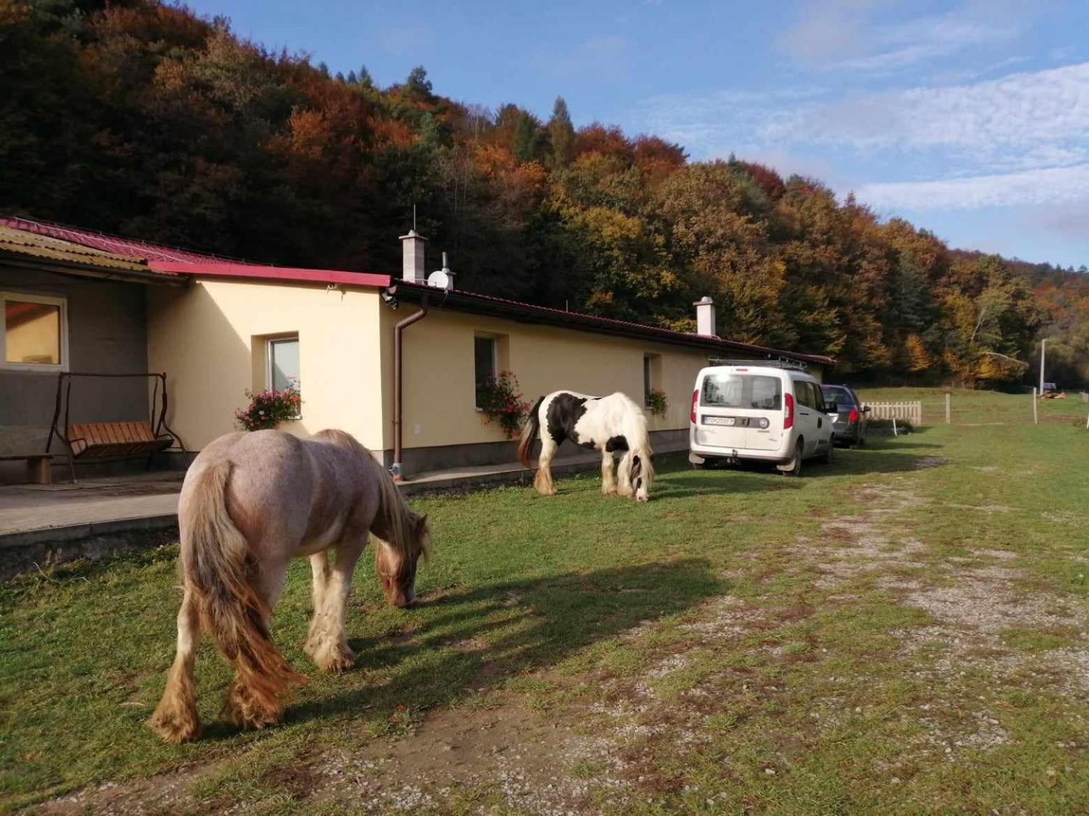 Oddychovy Pobyt Na Rodinnej Farme Matiaska 외부 사진